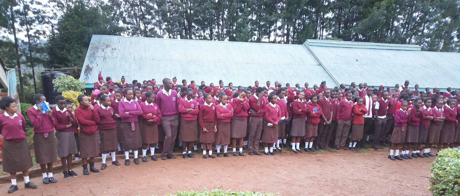 Image of Rukwaro at the farm